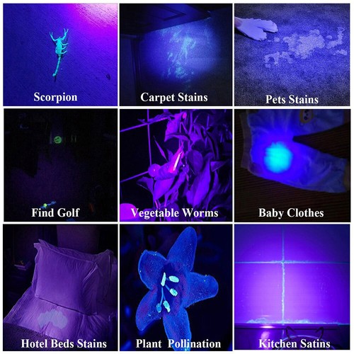 UV 3*LED Taschenlampe 365nm Scorpion Bernstein Schwarzlicht Handlampe &AKKU Kit - Bild 6 von 13