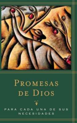 Promesas de Dios: Para Cada Una de Sus Necesidades by Jack Countryman: Used
