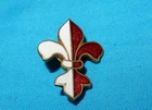VINTAGE SWISS Scouting Federation (Pfadibewegung Schweiz) Lapel Pin BOY SCOUTS