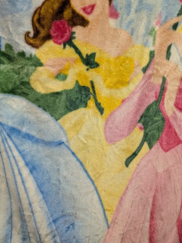 Disney Ariel Belle Cinderella blanket The Northwest Company 53"X 59" - Picture 5 of 16