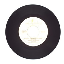 Randy Richards - There's Always A Good-Bye; Hold Back Those Chains - 45 RPM (VG)