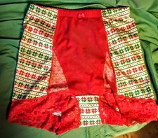    Gorgeous Rhonda Shear Snowflake Lace Pin-Up Retro Style High Waist Panties