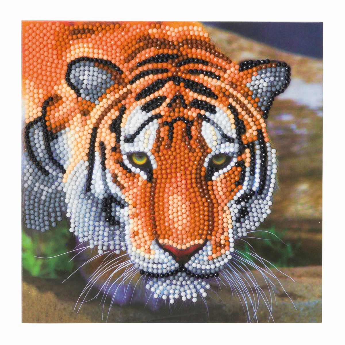 2pcs Adult Diamond Painting Kits, Tiger Diamond Art Kit Suitable For  Beginners, Diy 5d Diamond Dot Kits For Animal Painting Craft For Home Art  Decoration