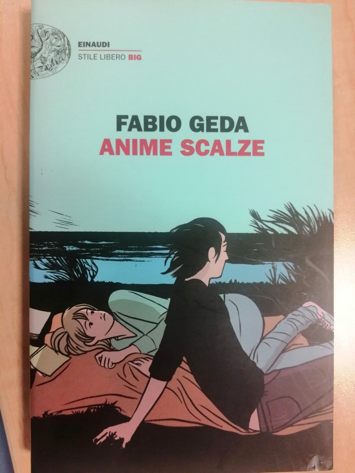 "Anime scalze"  di Fabio Geda  2017