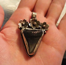 Fossil Megladon Mako Shark Tooth Pendant with Sterling Silver Flowers