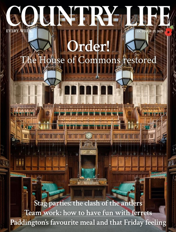 COUNTRY LIFE MAGAZINE 29 OCTOBER 2025 ~ NEW ~