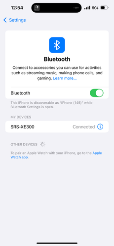 Sony SRS-XE300 X-Series Kabelloser Tragbarer Bluetooth-Lautsprecher - Blau - Bild 5 von 5