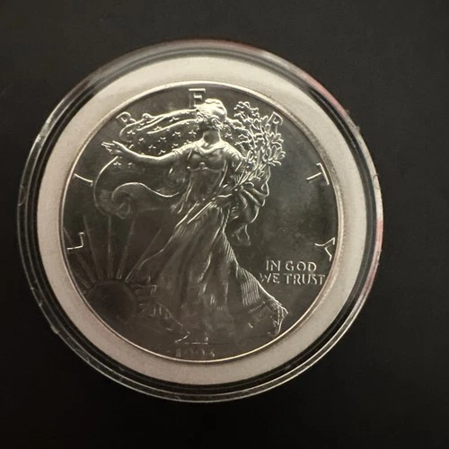 1993 WALKING LIBERTY AMERICAN EAGLE .999 FINE SILVER DOLLAR COIN 1oz. $1 USA