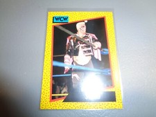 WCW WORLD CHAMPIONSHIP WRESTLING 1991 TRADING CARD # 4 STING