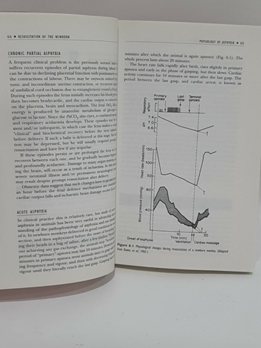 A MANUAL OF NEONATAL INTENSIVE CARE, 4th Edition VGC By JM Rennie & NRC Roberton - Picture 10 of 10