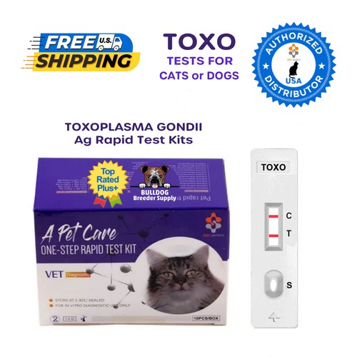 TOXO Feline Cat Toxoplasma T. Gondii Toxoplasmosis Coccidia Rapid