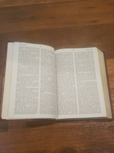 2003 Nelson Holy Bible King James Version Giant Print Letters KJV Brown SC - Foto 6 di 11