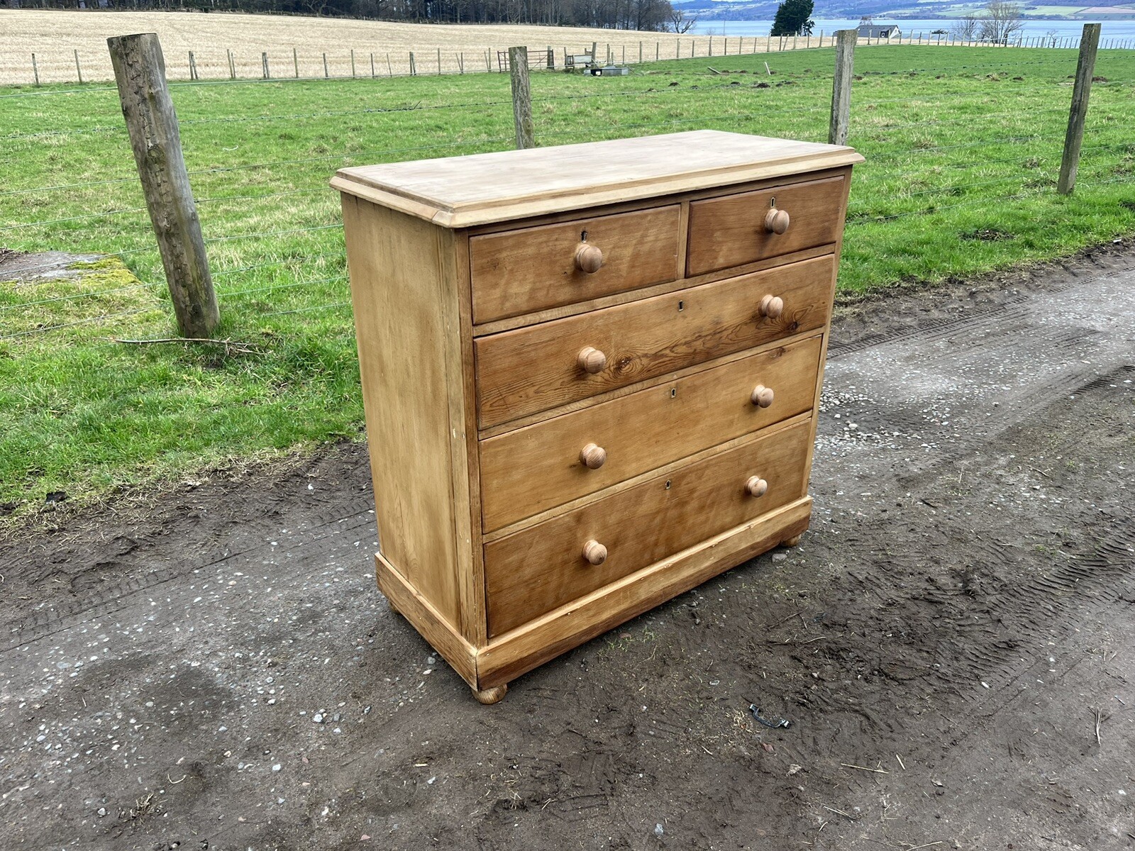 Picture 3 of 14