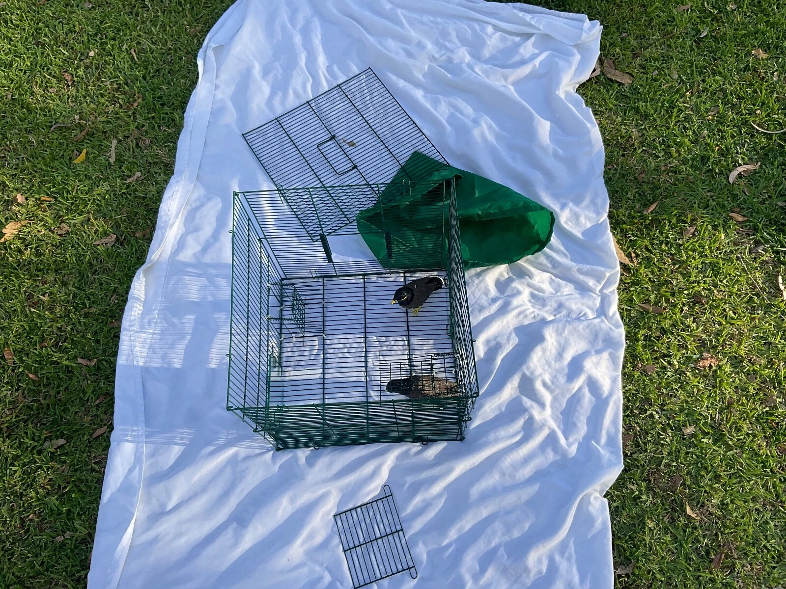 Picture 9 of 24