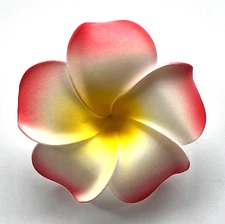 3.5" Red White & Yellow Hawaiian Plumeria FOAM Flower Hair Clip Tropical