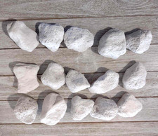 Pumice Pet Chews Parrot 15 Piece Larger Size Toy Making Stones 1.5"-2 "