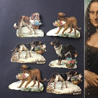 6 Chromos Anciens Chiens XIXè Animaux Découpis Gaufré Victorian Scraps