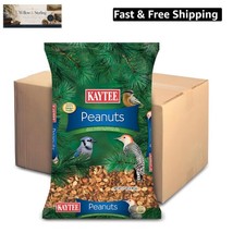 Shelled Peanuts for Cardinals, Blue Jays, Woodpeckers and Other Outside Wild ...