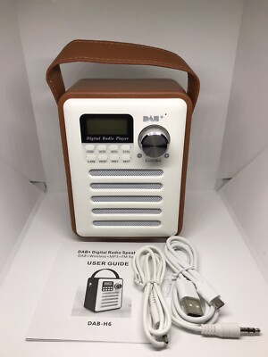 Digital Radio Speaker DAB+Wireless+MP3 Player+FM Radio-Clock-Alarm-Wooden Case