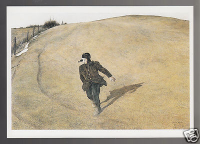 Andrew Wyeth、WITCH DOOR、希少画集画、新品高級額、額装付 Andrew Wyeth、WITCH DOOR、希少画集画、新品高級額、額装付