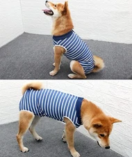 Dog Surgery Recovery Suit For Abdominal Wounds Breathable