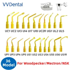 Dental Ultrasonic Piezo Surgery Tips Bone Cutter Tips For Mectron Woodpecker NSK