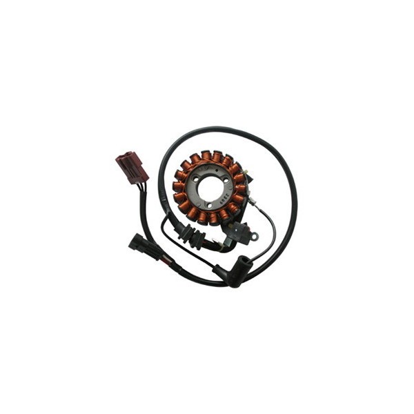 Piaggio Beverly Cruiser 250 Startergenerator SGR 2007-2010 58070R-image