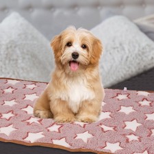 Animal Blanket 16x24" Red 3pcs