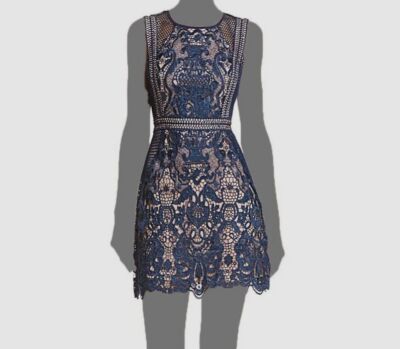 Aqua Womens Lace Mesh Cocktail Dress, Navy/Nude