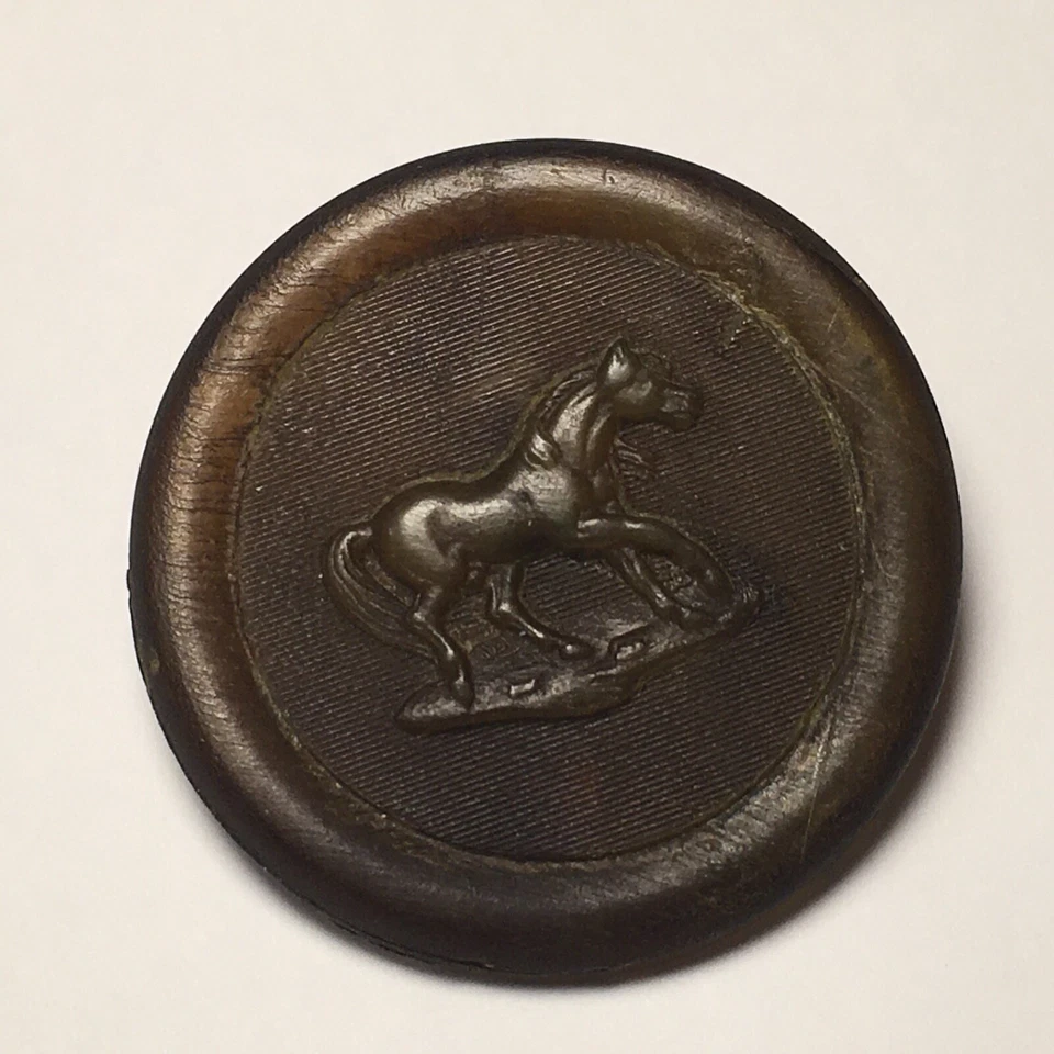 Antique Rare Button Horn Large NBS Horse Opalescent Shank Back Handsome - Image 3 of 4
