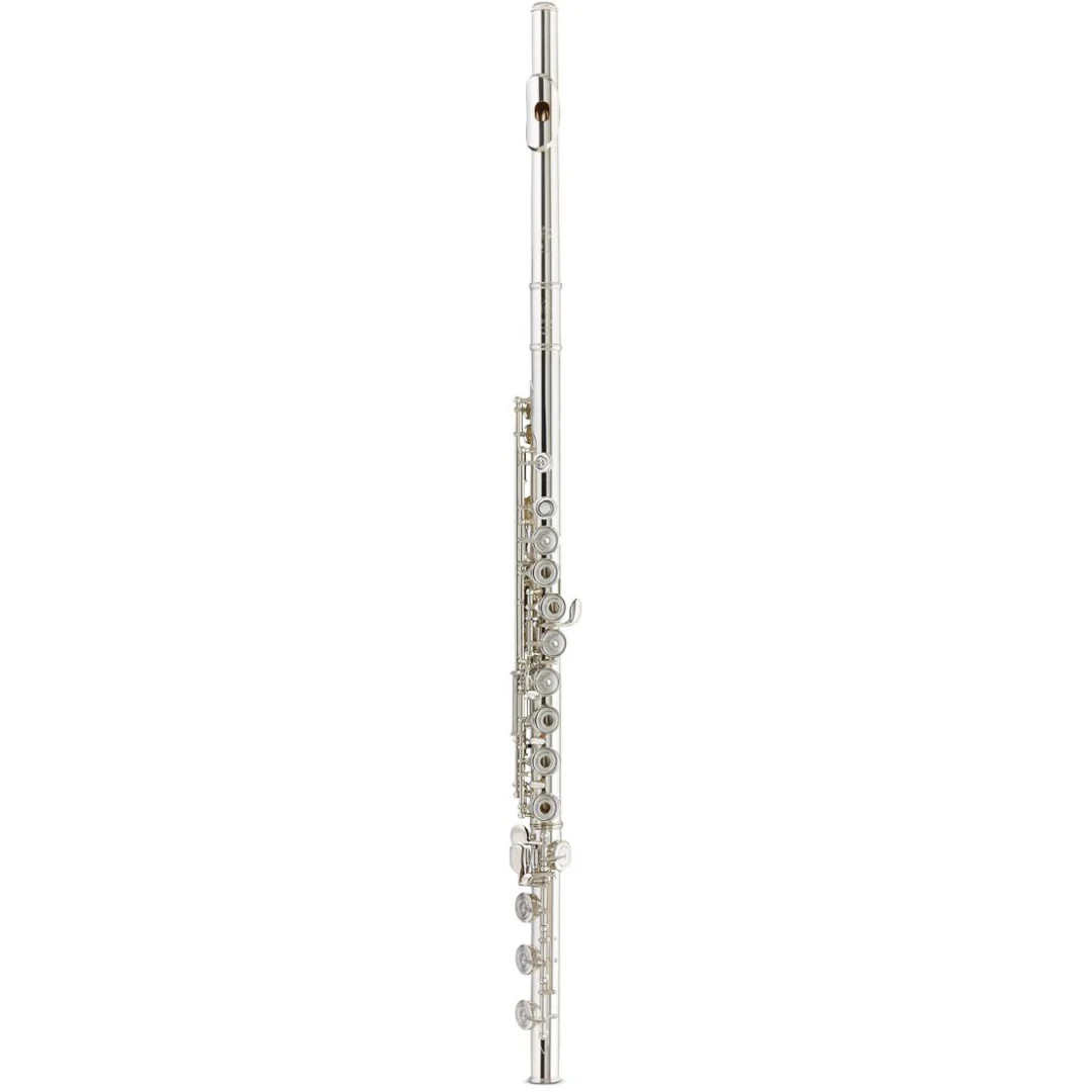Tomasi Series 10S Flute TFL-10S-GOB 442390₽