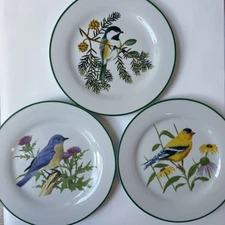 Set of 3 NWF Songbird Dinner Plates 10.75” – Nature Bird Porcelain Ceramic