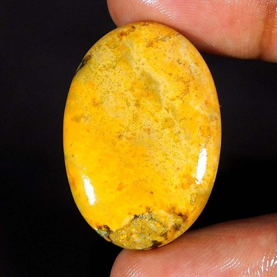 33,55Cts. 100 % natürlicher einzigartiger Hummeljaspis ovaler Cabochon...