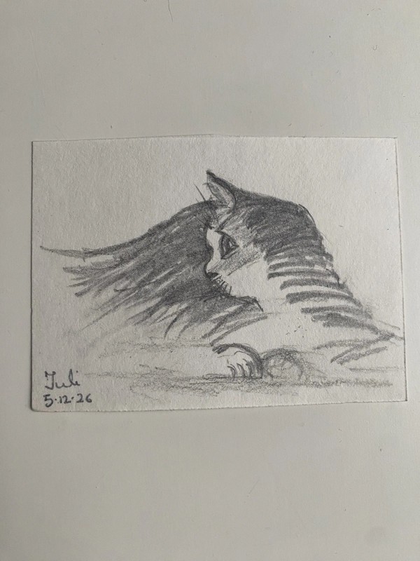 ACEO Original Art, Tiny Art, ATC Card Sketch Signed Lazy Cat Kitty