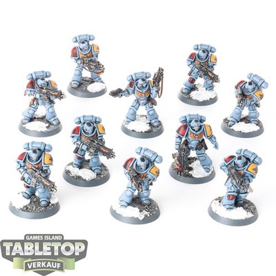 Space Wolves - 10 Intercessor Squad - bemalt