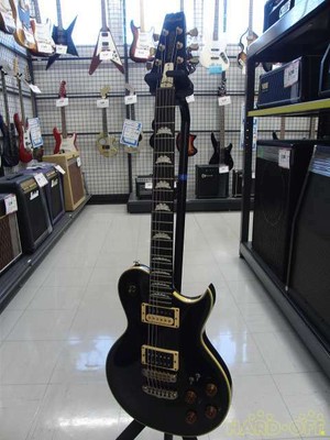 Aria Pro Ii Pe R80 With Soft Case Good Product To Use In Japan For Sale Online Ebay