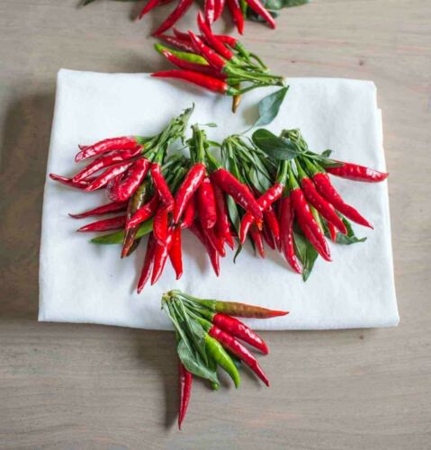 20 Thai pepper seeds