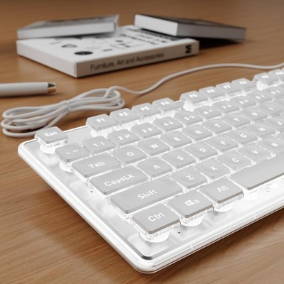 Wired Backlit Keyboard with Pudding Keycaps, Quiet Full Size Computer Keyboar...