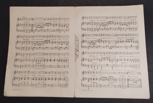 Sheet Music "I Found A Rose In the Devils Garden" 1921 Willie Raskin Fred Fisher - Picture 4 of 4