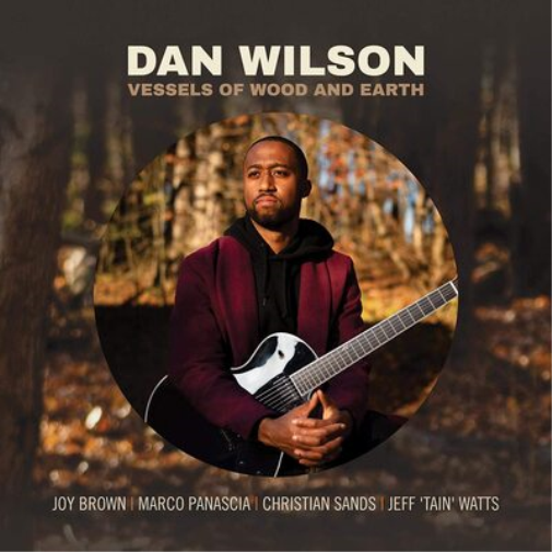Dan Wilson Vessels of Wood and Earth (CD) Album