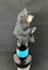 Bear-Wine-Stopper-Bottle-Topper-Lodge-Decor-5-inch-Hand-Painted thumbnail 5