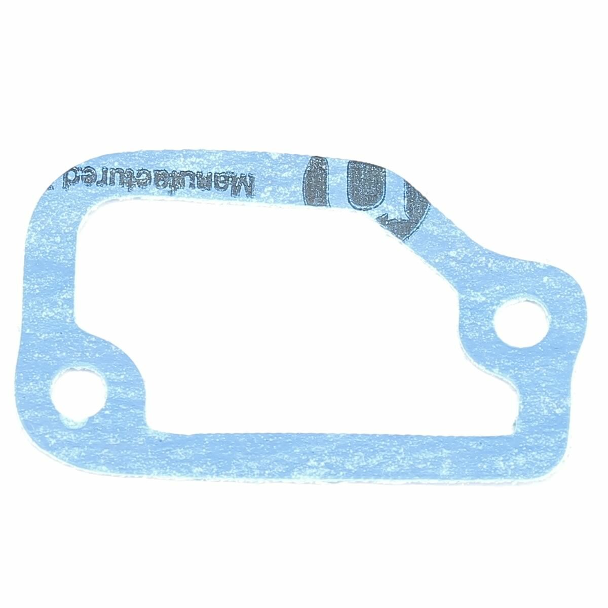 Kawasaki Governor Gasket 11009-1960 | eBay