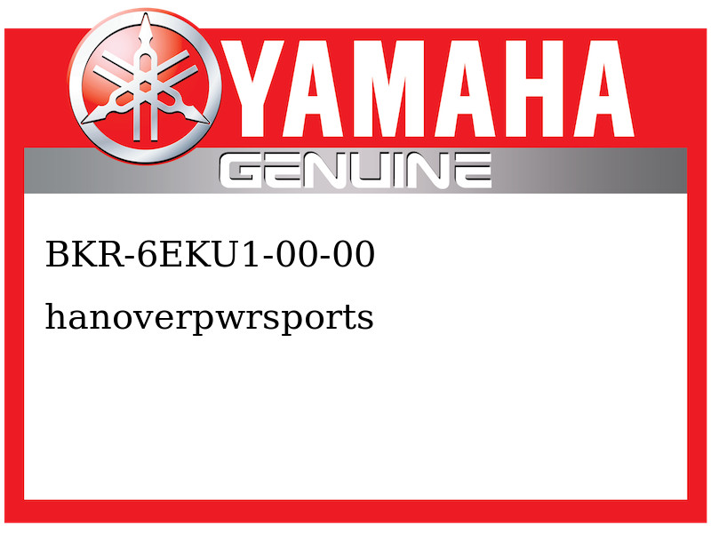 Yamaha OEM Part BKR-6EKU1-00-00 BKR6EKU1 NGK SPLUG 4
