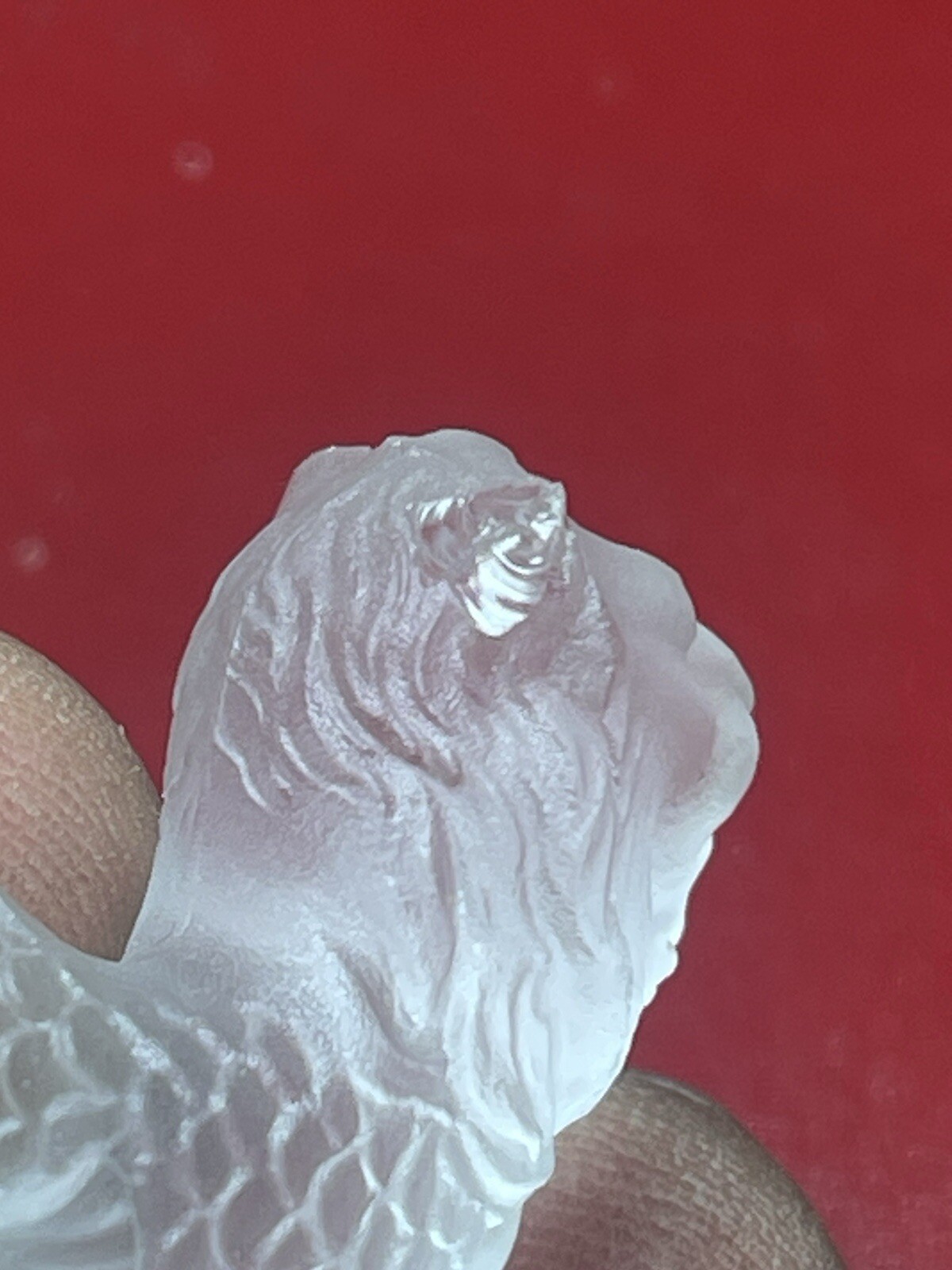 Picture 10 of 10