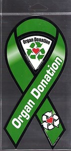 Organ Donation 8 inch ribbon  magnet for car or anything metal     New