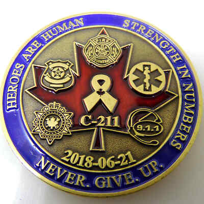 CARIBOO PRINCE GEORGE HOUSE OF COMMONS TOOD DOHERTY MEMBER CHALLENGE COIN