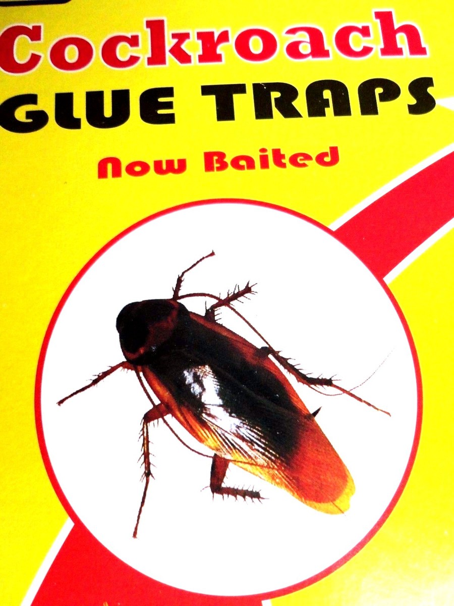 Other Trapping