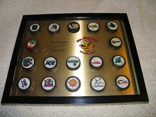 VINTAGE 1995 IHL HOCKEY ALL STAR GAME MINI PUCK DISPLAY FRAMED UNDER GLASS,RARE