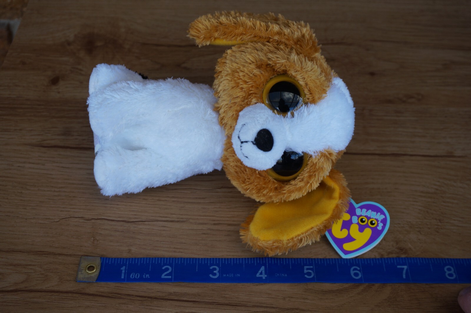 Bild 12 von 16