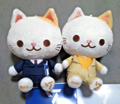 セブチ ANIMAL COORDY ミニぬいぐるみ SECTOR17 全13種 大注目グループ「SEVENTEEN」の“ANIMAL COORDY”ミニぬいぐるみが